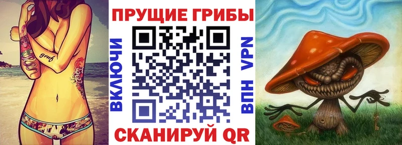 Купить закладки  Нижняя Салда  Псилоцибиновые грибы Psilocybe 